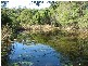 Talarm NSW 2447