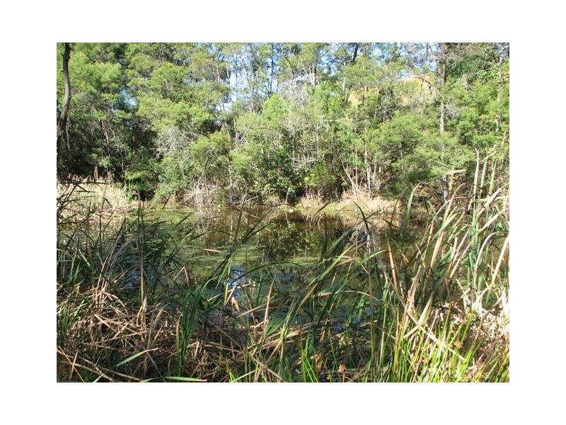 Talarm NSW 2447