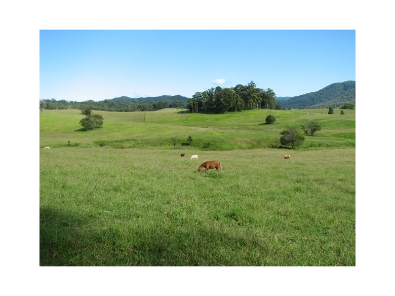 624 Boat Harbour Rd, Yarranbella NSW 2447