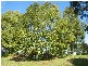 Eungai Creek NSW 2441