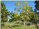 Eungai Creek NSW 2441