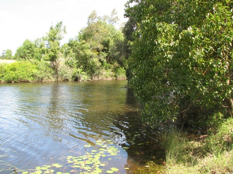 487 Upper Warrell Creek Rd, Macksville NSW 2447