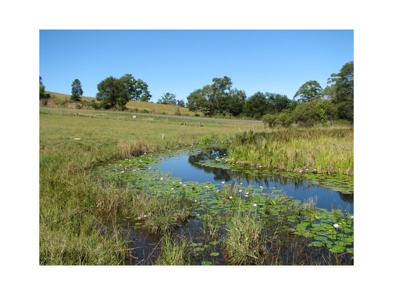 164 Helliwells Rd, Missabotti NSW 2449