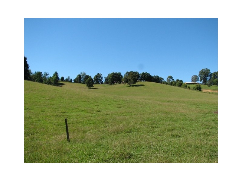 164 Helliwells Rd, Missabotti NSW 2449