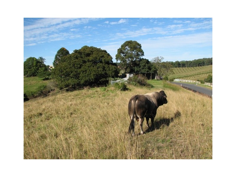 Lot 16 Peppertree Grove, Talarm NSW 2447
