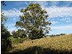 Lot 16 Peppertree Grove, Talarm NSW 2447