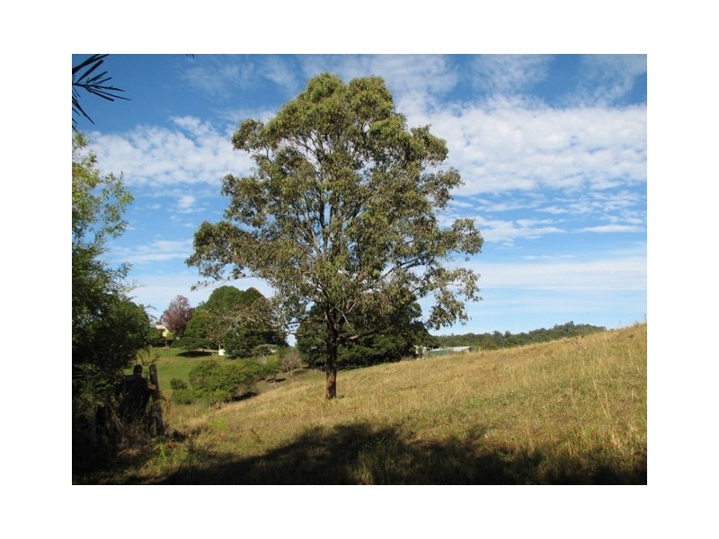 Lot 16 Peppertree Grove, Talarm NSW 2447