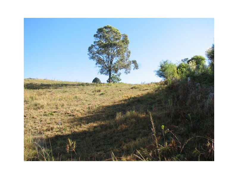 Lot 16 Peppertree Grove, Talarm NSW 2447