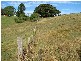 Lot 16 Peppertree Grove, Talarm NSW 2447