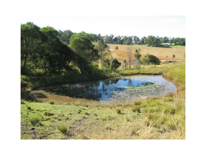 Lot 16 Peppertree Grove, Talarm NSW 2447