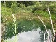 1441 Missabotti Road, Missabotti NSW 2449