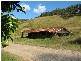 1441 Missabotti Road, Missabotti NSW 2449