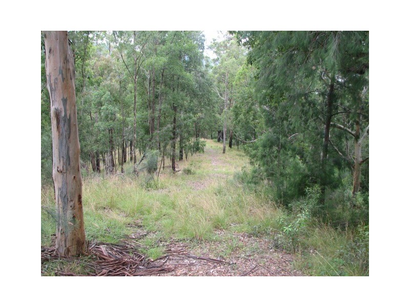 1441 Missabotti Road, Missabotti NSW 2449