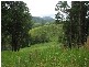 1441 Missabotti Road, Missabotti NSW 2449