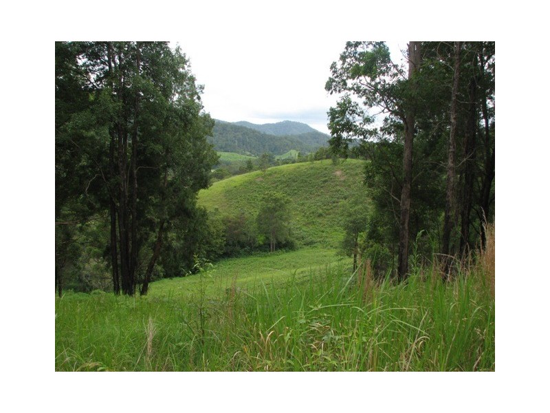 1441 Missabotti Road, Missabotti NSW 2449