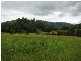 1441 Missabotti Road, Missabotti NSW 2449
