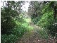 1441 Missabotti Road, Missabotti NSW 2449