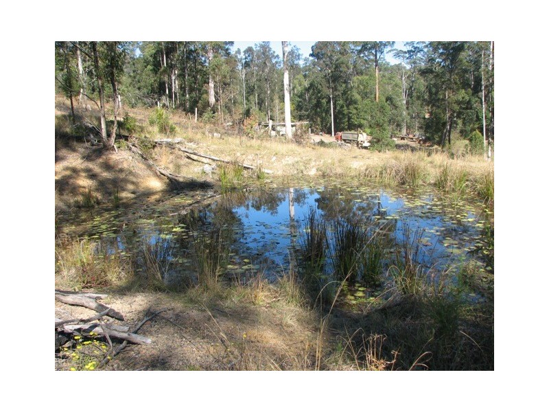 139 Grey Gum Rd, Bowraville NSW 2449