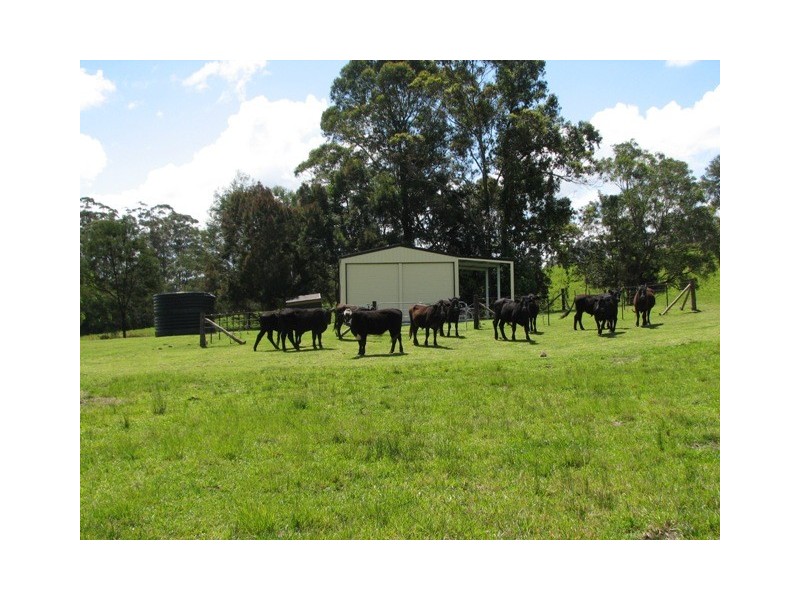 40 Wards Rd, Utungun NSW 2447