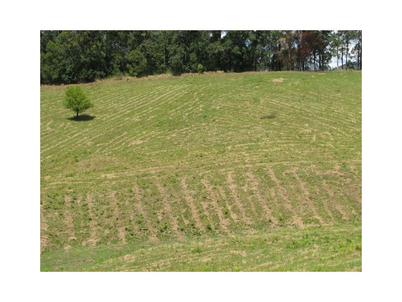 40 Wards Rd, Utungun NSW 2447