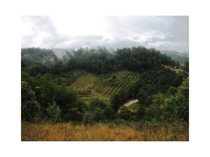 1721 North Arm Rd, Bowraville NSW 2449