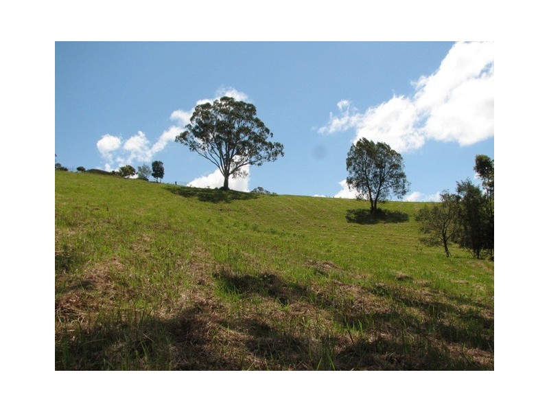 40 Wards Rd, Utungun via, Macksville NSW 2447