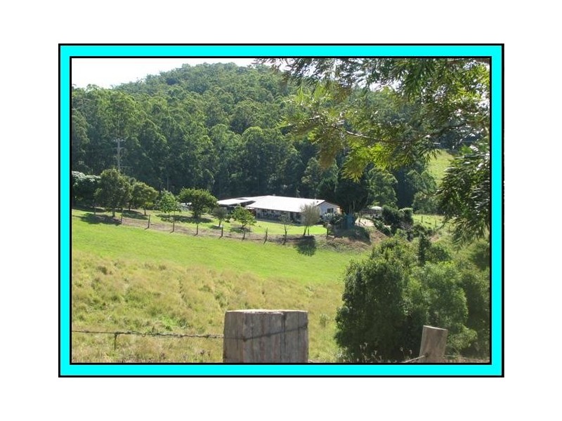 513 Welshs Creek Road, Macksville NSW 2447