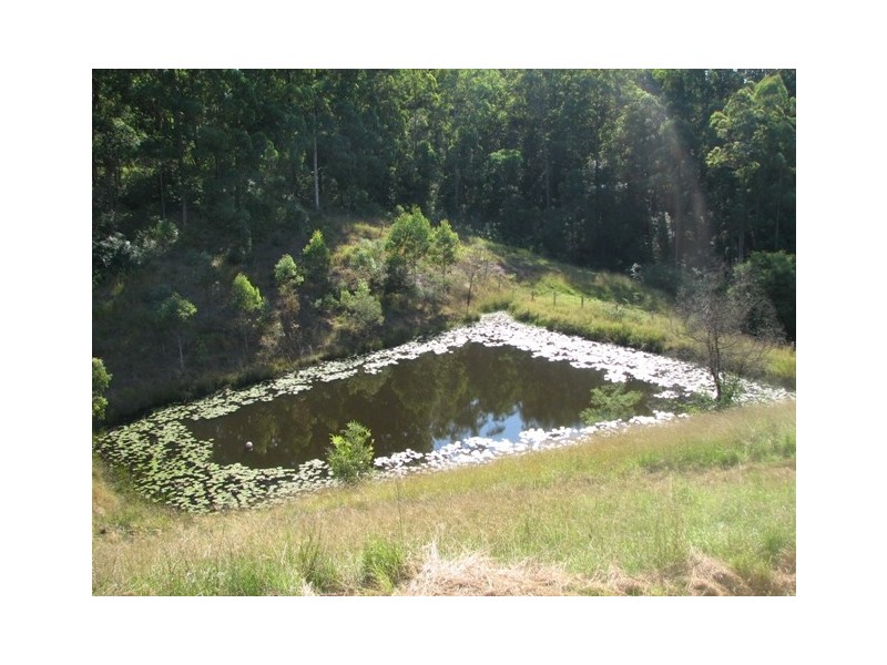 513 Welshs Creek Road, Macksville NSW 2447