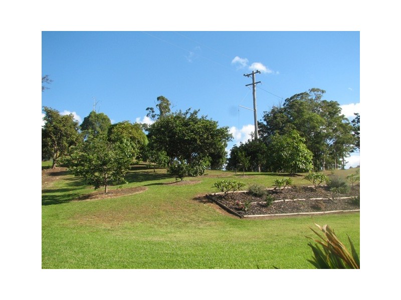 513 Welshs Creek Road, Macksville NSW 2447