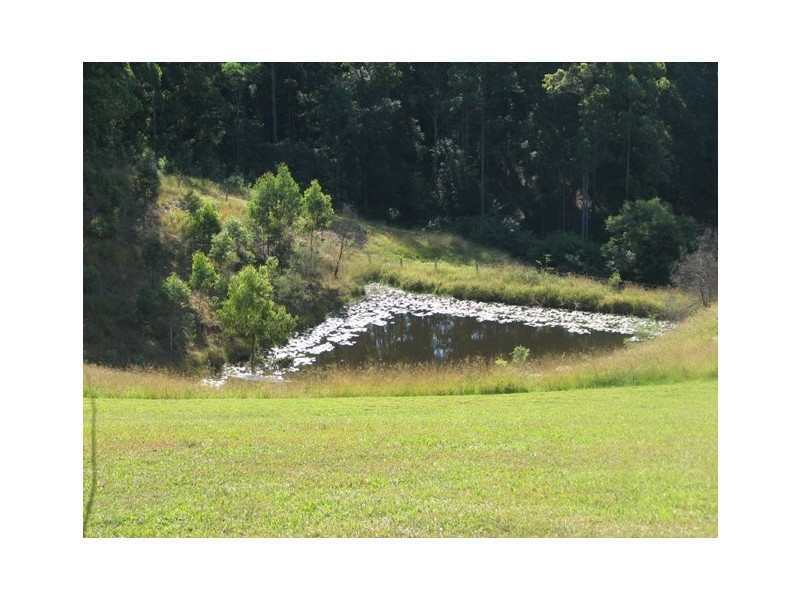 513 Welshs Creek Road, Macksville NSW 2447