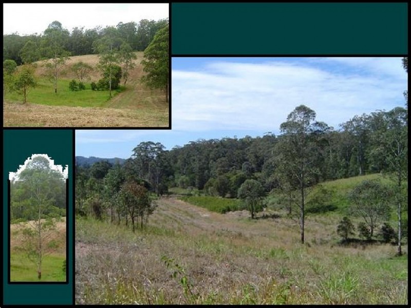 Macksville NSW 2447
