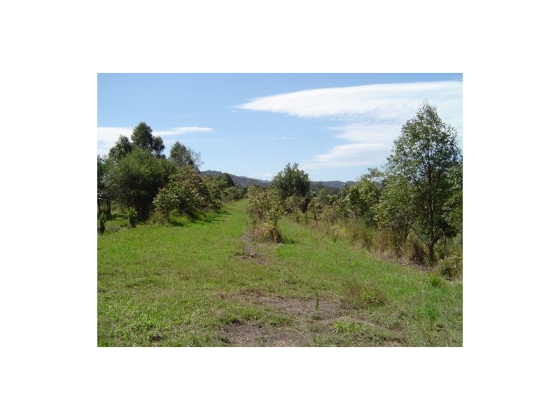 Macksville NSW 2447