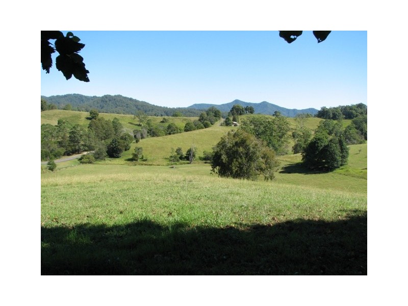 164 Helliwells Rd, Missabotti NSW 2449