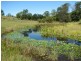 164 Helliwells Rd, Missabotti NSW 2449