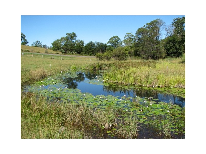 164 Helliwells Rd, Missabotti NSW 2449
