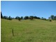 164 Helliwells Rd, Missabotti NSW 2449