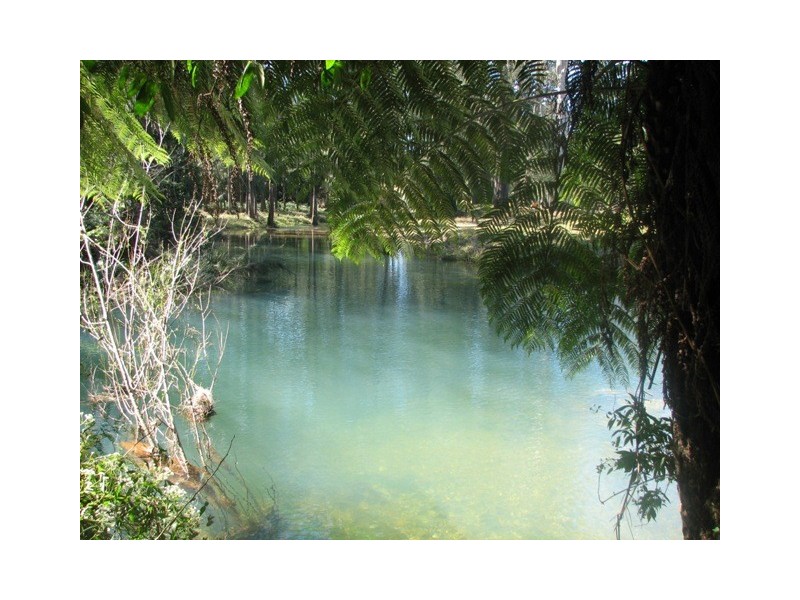 1288 Missabotti Rd, Missabotti NSW 2449