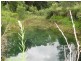 1441 Missabotti Road, Missabotti NSW 2449