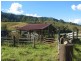 1441 Missabotti Road, Missabotti NSW 2449