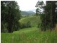 1441 Missabotti Road, Missabotti NSW 2449