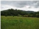 1441 Missabotti Road, Missabotti NSW 2449