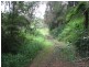 1441 Missabotti Road, Missabotti NSW 2449