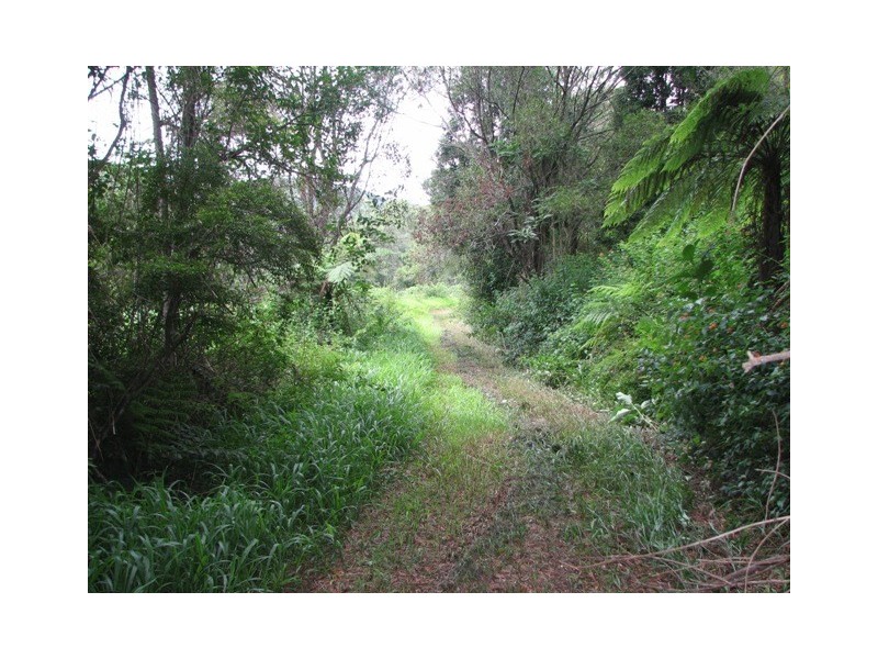 1441 Missabotti Road, Missabotti NSW 2449