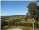 Talarm NSW 2447