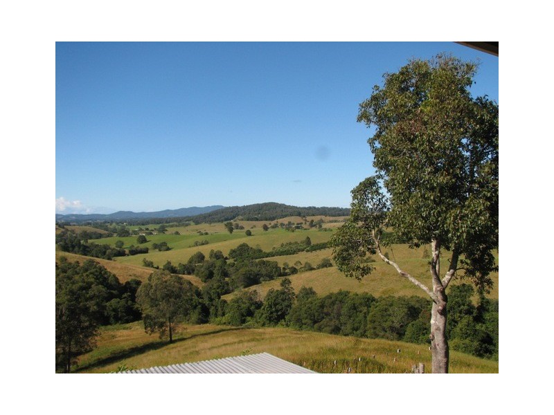Talarm NSW 2447