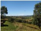 Talarm NSW 2447