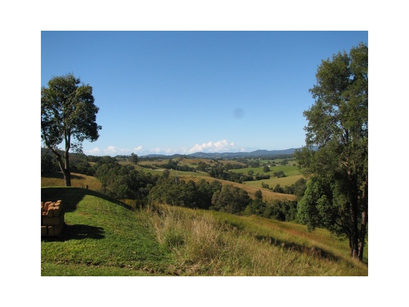 Talarm NSW 2447
