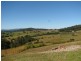 Talarm NSW 2447