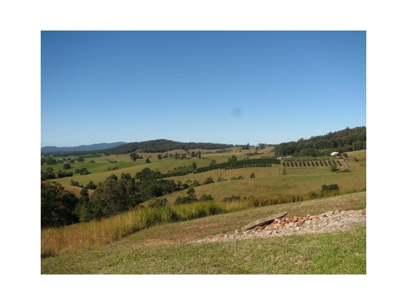 Talarm NSW 2447