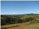 Talarm NSW 2447